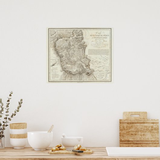 Stadtplan von Mexiko Poster (Küche)