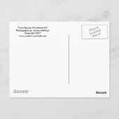 Stadtplatz Woodstock, NY Postkarte (Rückseite)