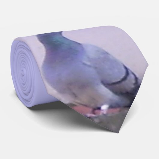 Stadttaube Krawatte (Gerollt)