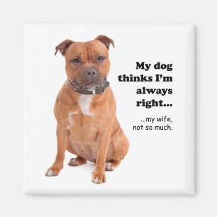 Staffie / Ehefrau Magnet