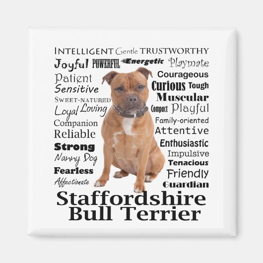 Staffie Traits Magnet (Vorne)