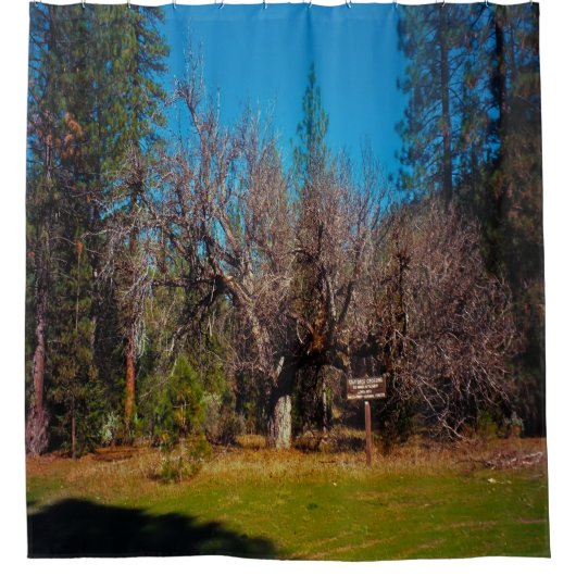 Stafford Crossing....... Duschvorhang (Vorderseite)