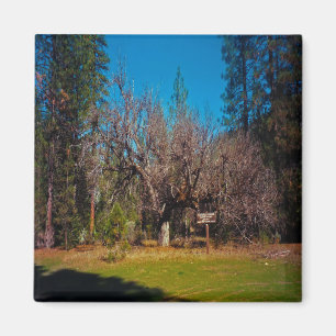 Stafford Crossing...... Magnet