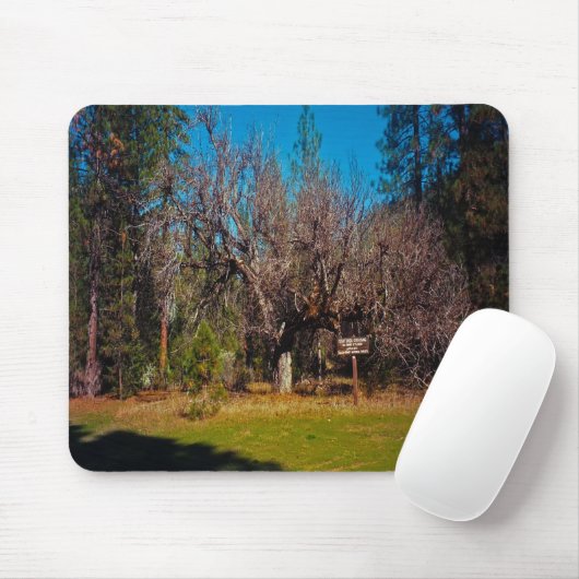 Stafford Crossing...... Mousepad (Mit Mouse)