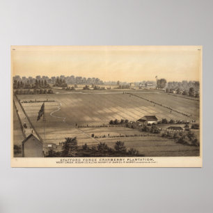 Stafford Schmiede-Moosbeerplantage, West Creek Poster