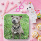 Staffordshire Bull Terrier Achtung: Pappteller (Party)