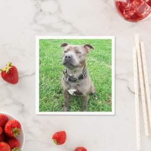 Staffordshire Bull Terrier Achtung: Serviette