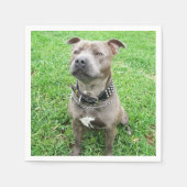 Staffordshire Bull Terrier Achtung: Serviette (Vorderseite)