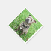 Staffordshire Bull Terrier Achtung: Serviette (Ecke)