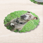 Staffordshire Bull Terrier Achtung: Untersetzer (angewinkelt)