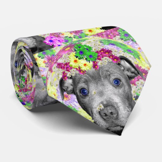 Staffordshire Bull Terrier and Daisies, Krawatte (Gerollt)