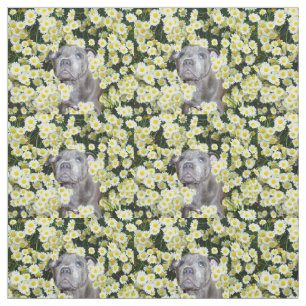 Staffordshire Bull Terrier and Daisies, Stoff