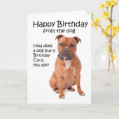 Staffordshire Bull Terrier Birthday Card Karte (Gelbe Blume)
