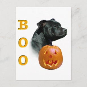 Staffordshire Bull Terrier Boo Postkarte