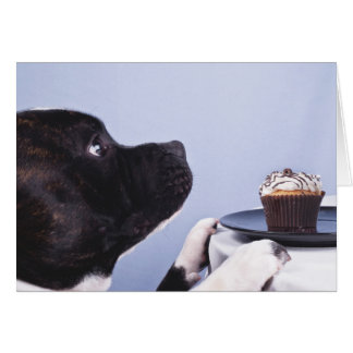 Staffordshire Bull Terrier & Cake Card