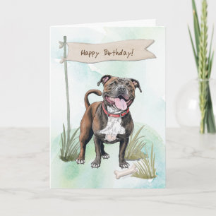 Staffordshire Bull Terrier Dog Under Birthday Sign Karte