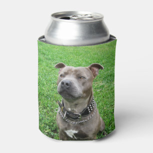Staffordshire Bull Terrier, Dosenkühler