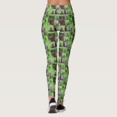 Staffordshire Bull Terrier Foto Collage, Leggings (Rückseite)