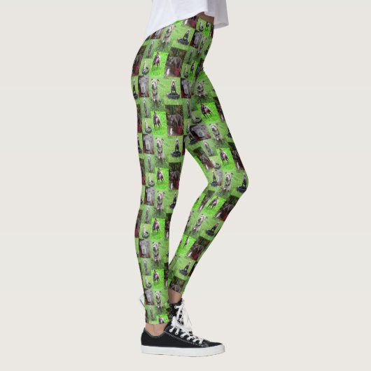 Staffordshire Bull Terrier Foto Collage, Leggings (Rechts)