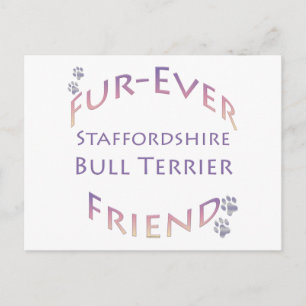 Staffordshire Bull Terrier Furever Friend Postkarte