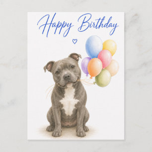 Staffordshire Bull Terrier Geburtstag Postkarte