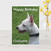 Staffordshire Bull Terrier Happy Birthday Karte (Gelbe Blume)