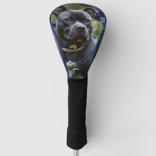 Staffordshire Bull Terrier in Blue Rose Garden, Golf Headcover