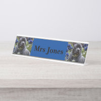 Staffordshire Bull Terrier in Blue Rose Garden,