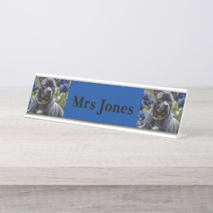 Staffordshire Bull Terrier in Blue Rose Garden, Schreibtischnamensplakette