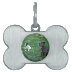 Staffordshire Bull Terrier Leckerei Time, Tiermarke
