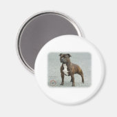 Staffordshire Bull Terrier Magnet (Vorderseite/Rückseite)