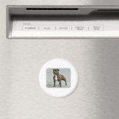 Staffordshire Bull Terrier Magnet (In Situ (Geschirrspüler))