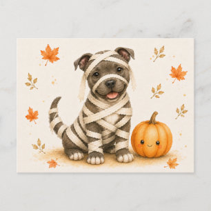 Staffordshire Bull Terrier Mumie Halloween Postkarte
