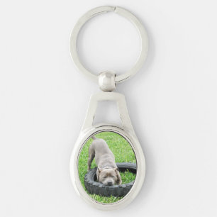 Staffordshire Bull Terrier, Oval Metal Keyring Schlüsselanhänger