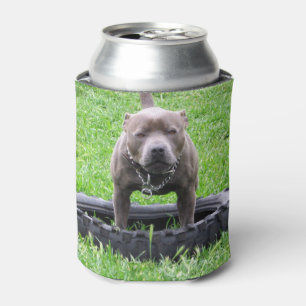 Staffordshire Bull Terrier, Play Time Dosenkühler