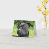 Staffordshire Bull Terrier-Portrait Karte (Gelbe Blume)