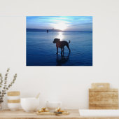 Staffordshire Bull Terrier Poster (Küche)