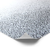 Staffordshire Bull Terrier Puppy, Art Print Poster (Ecke)