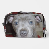 Staffordshire Bull Terrier Puppy Face, Waschbeutel (Vorderseite)