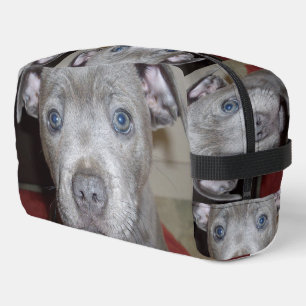 Staffordshire Bull Terrier Puppy Face, Waschbeutel