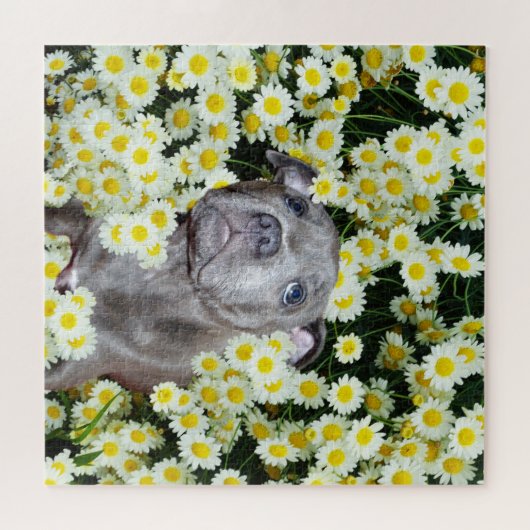 Staffordshire Bull Terrier Puppy in the Daisis, Puzzle (Horizontal)