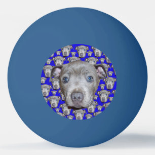 Staffordshire Bull Terrier Puppy, Tischtennisball