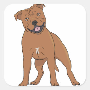 Staffordshire Bull Terrier Quadratischer Aufkleber