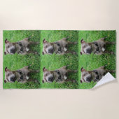 Staffordshire Bull Terrier Sitting At Achtung, Strandtuch (Vorderseite)