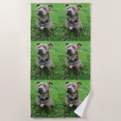 Staffordshire Bull Terrier Sitting At Achtung, Strandtuch (Vorderseite)