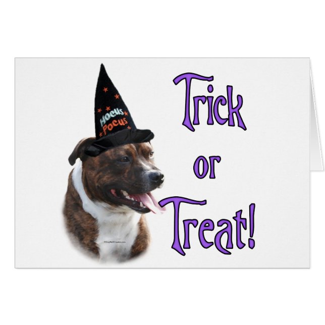 Staffordshire Bull Terrier Trick (Vorderseite (Horizontal))