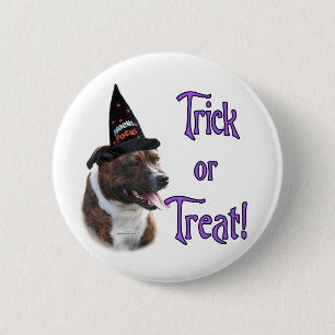 Staffordshire Bull Terrier Trick Button