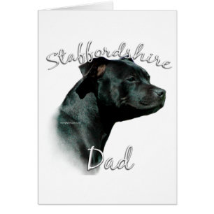 Staffordshire Bull Terrier Vater 2