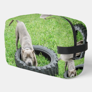 Staffordshire Bull Terrier, Waschbeutel