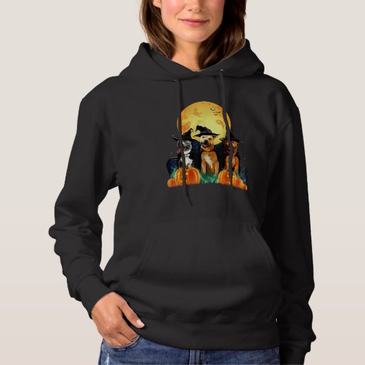 Staffordshire Bull Terrier Witch Pumpkin Halloween Hoodie (Vorderseite)